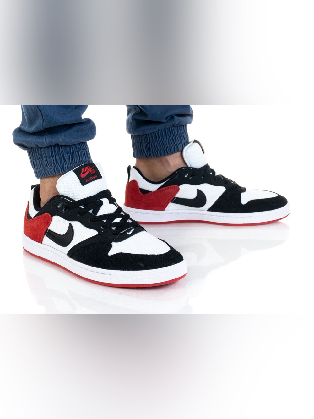 Nike SB Alleyoop